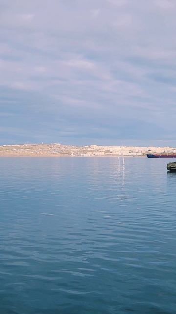Моя любимая работа - за морем наблюдать! Морпорт. #nastikae #fishing #камбала #Магадан