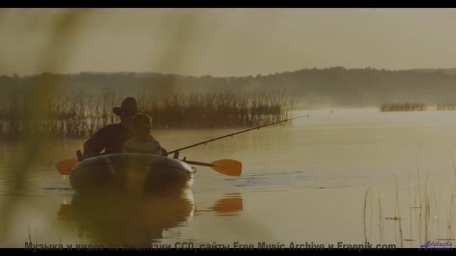 Поля колышутся в ритме! - Flowers -- Cedric Galke -- Unnamed album