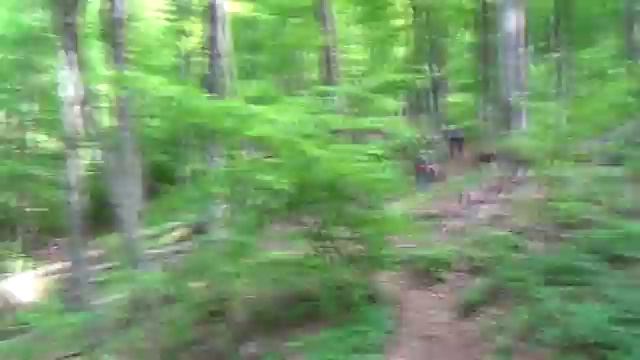 поход на Сев. Демерджи