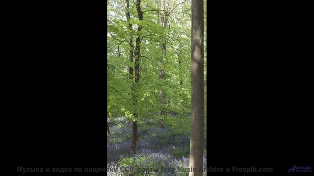 Саунд разрывает шаблоны о том, как должна звучать природа - I Have You -- Derek Clegg -- Good Graces