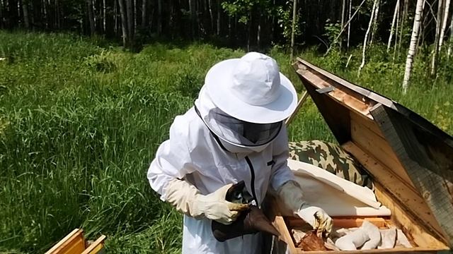 Хочу сказать, что беспроводной микрофон для съёмки пчёл среднерусской породы  не годится