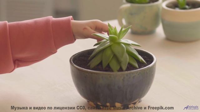 Звуки, от которых сосед перестанет сверлить стену! - Follow Me Down -- Renata Zeiguer -- Live at WFM