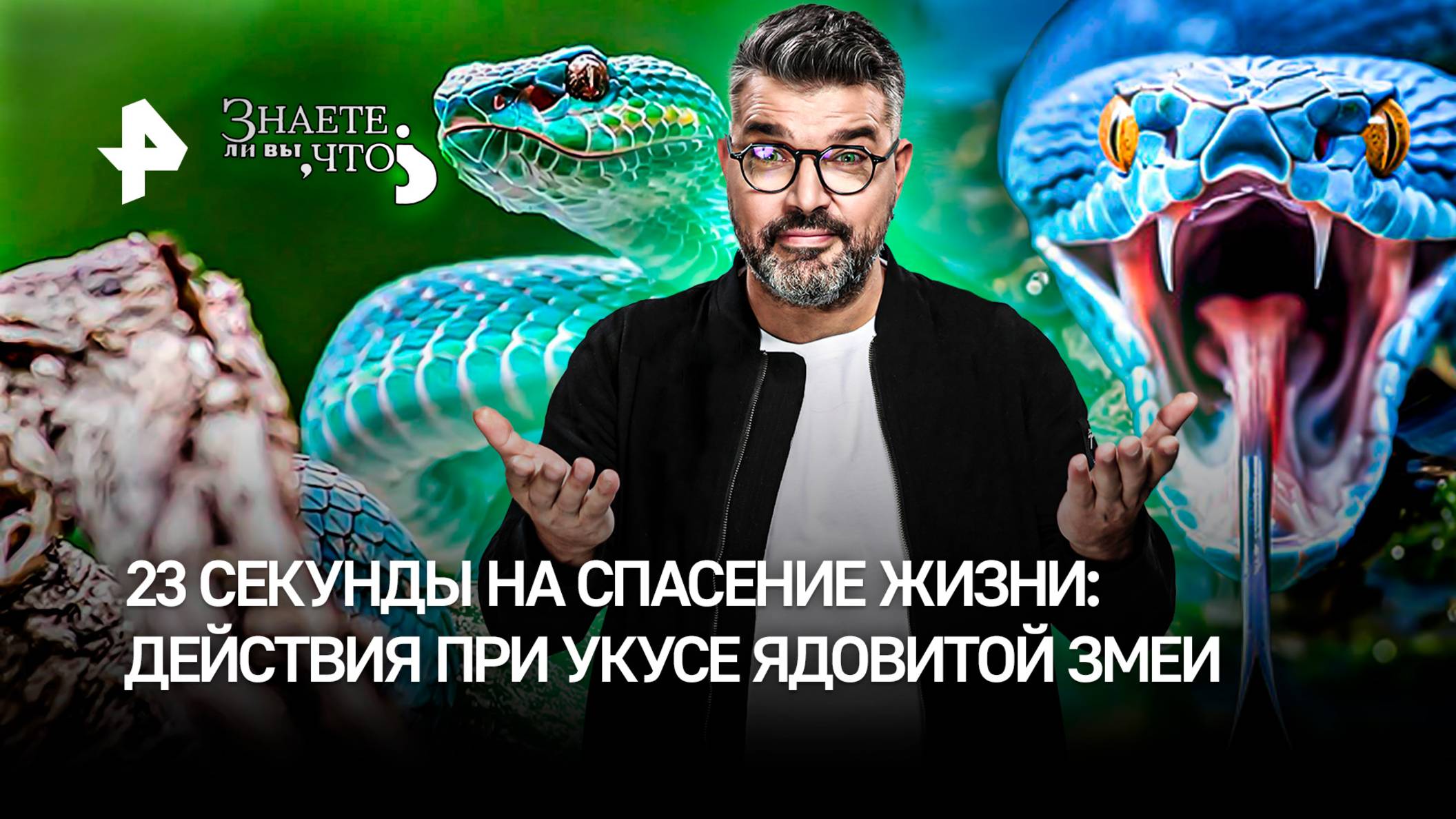 Спастись за 23 секунды: как выжить после укуса ядовитой змеи / "Знаете ли вы, что?"