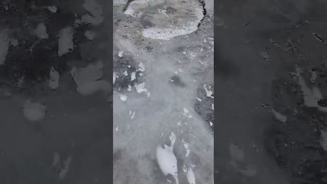 МОР РЫБЫ.