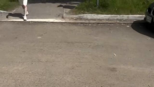 Эхо Шагов: Как Дышат Деревь