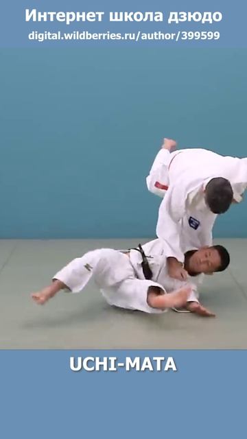 Интернет школа дзюдо. UCHI-MATA 2