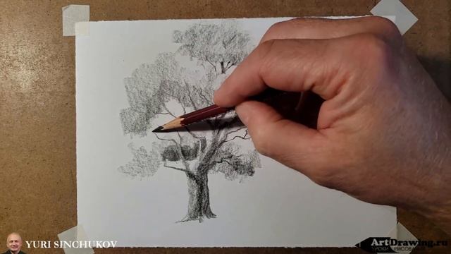 Зарисовки деревьев карандашом / Уроки рисования