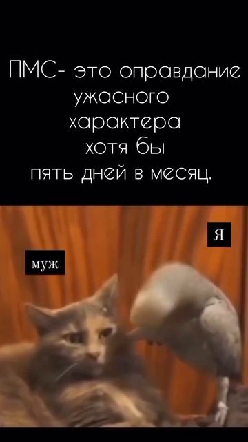 🩸 ПМС — это не сбой. Это выпущенная тень, которую ты весь месяц прятала.
⠀