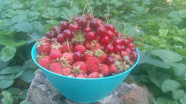 VID_20250607_094048