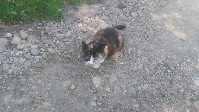 VID_20250605_095914