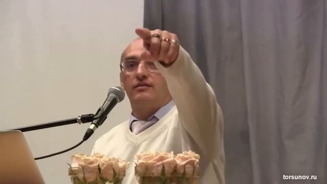 Вкус чистой любви (Торсунов О. Г.)