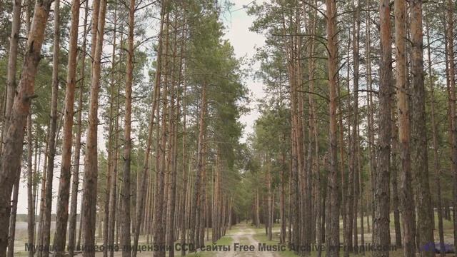 Песня, которая начинается с 'поехали' и не заканчивается никогда - Ants In My Pants -- SUPERARE -- I