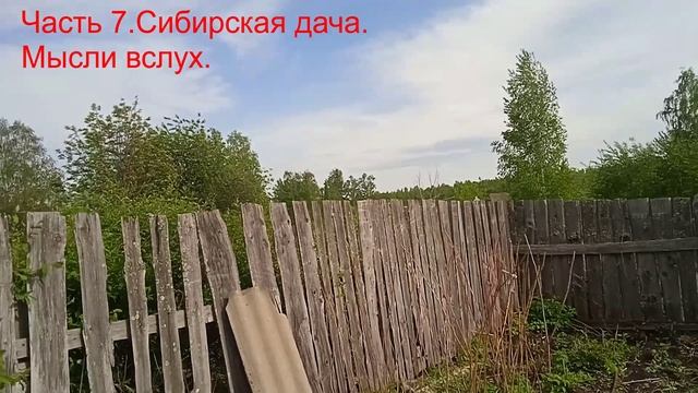 01.06.16.50.Часть 7.Сибирская дача.Мысли вслух.