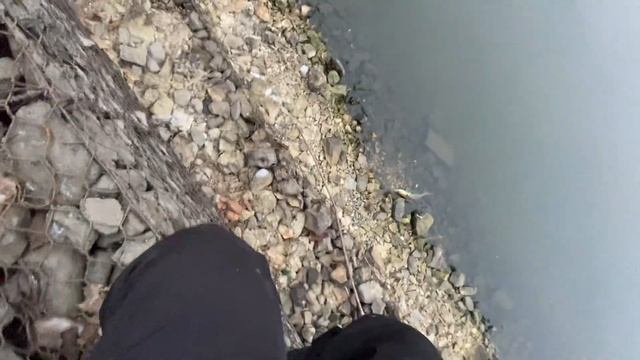 РЫБАЛКА В ГЛУХОЗИМЬЕ | МОСКВА-РЕКА | БРАТЕЕВО | МАНДУЛА СНОВА ВЫРУЧАЕТ | КОГДА БУДЕТ КЛЕВ?