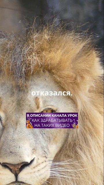 Уважай себя!