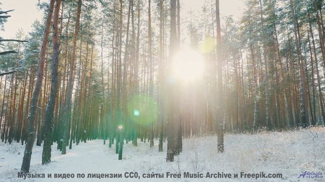 Звуки, управляющие погодой - секретные технологии! - Tell Me You Know -- Eyelids -- Live at Monty Ha
