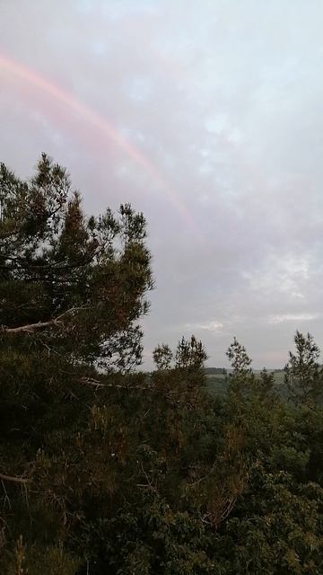 Геленджик. Дивноморское. Радуга в лесу и закат на море.
