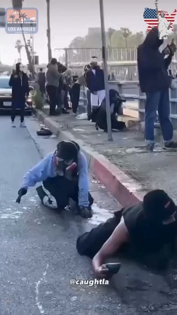Бунт в Лос-Анджелесе: засада на полицию