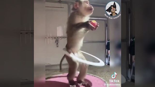 VID_20250609_132749_851.mp4