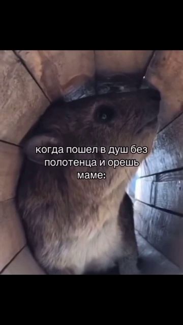 🌹МАМА - наше ВСЕ💖