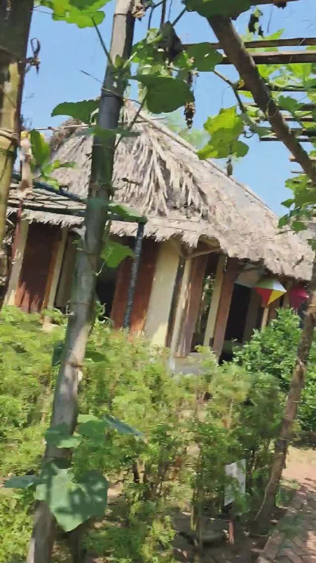 Органический сад Caman, Organic Village, Hoian, Vietnam