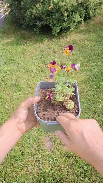 Самоделка приспособление подвесные горшки для цветов своими руками #diy #полезныесоветы #хитрости