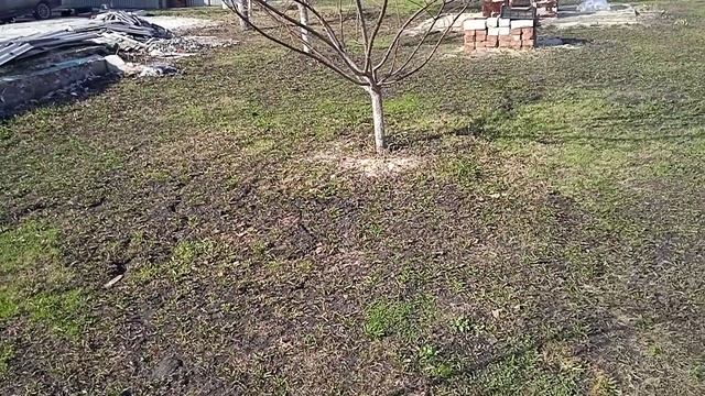 Что Сделала на ОГОРОДЕ за Два ДНЯ!!!     ЖАРКО+26   1.4.24г.
