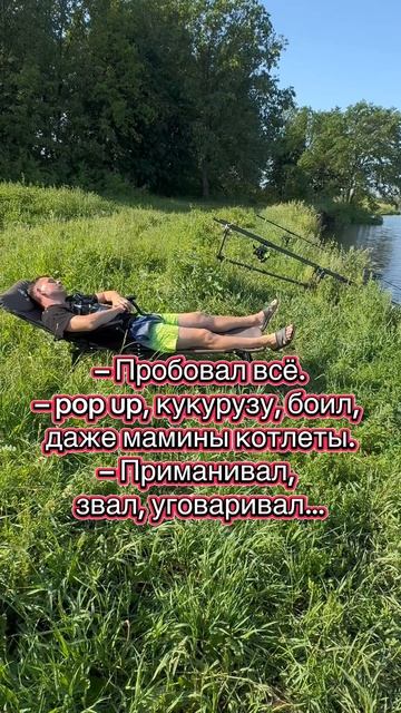 Как поймать много карпа и сазана? Тогда не смотри это видео 🤣 рыбалка на карпа сазана. Карпфишинг