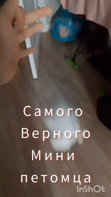 ❤️❤️❤️