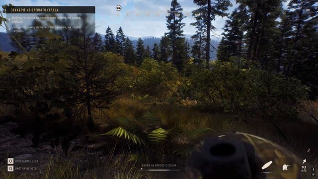 Way of the hunter - Охота на белохвостых оленей