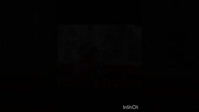 InShot_20241212_111220031