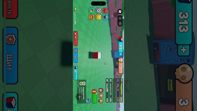 Играю в роблокс