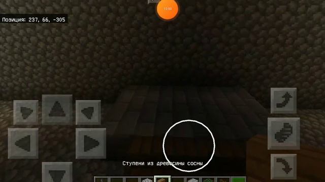 Тронный зал  ► Minecraft