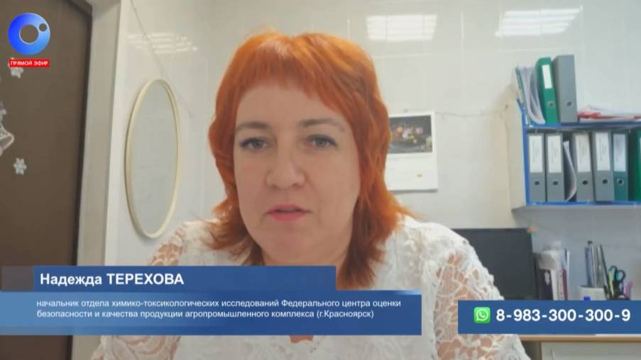 ТВ: Как не отравиться съедобными видами грибов – советы ЦОК АПК