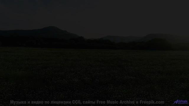 Видео, которое смотрит искусственный интеллект - и вот что он видит! - High-Vibe -- Ketsa -- Summer