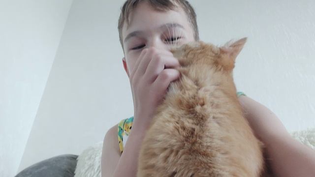 это мой котик ласковость