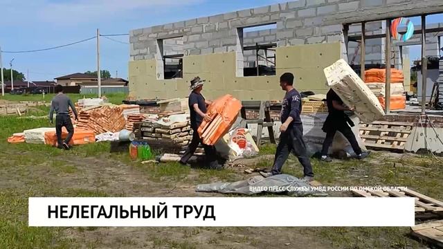 Нелегальный труд