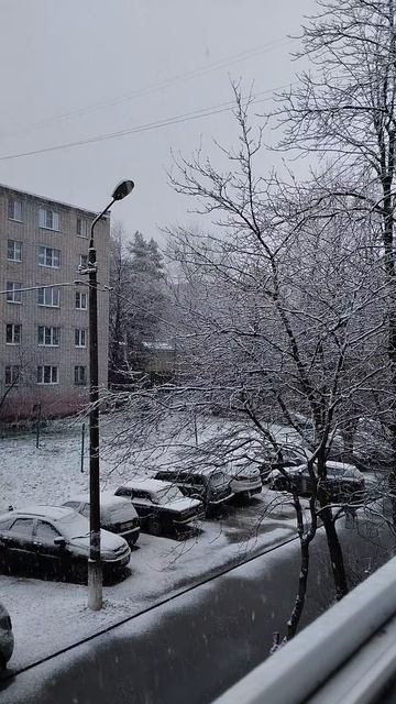 PXL_20250413_060715774