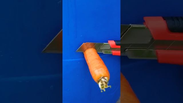 Лайфхаки для садоводов и не только