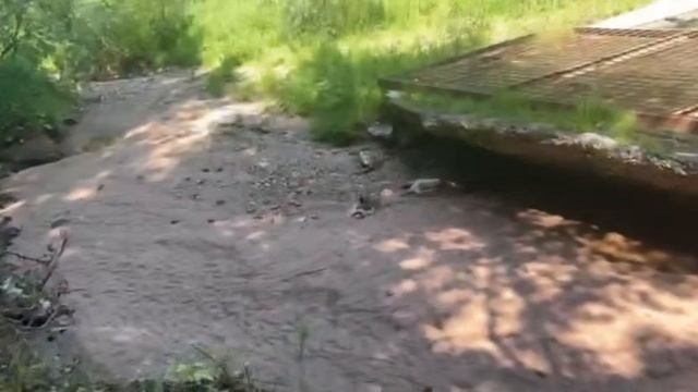 Ритм Шага: Меланхолия Дальних Дорог