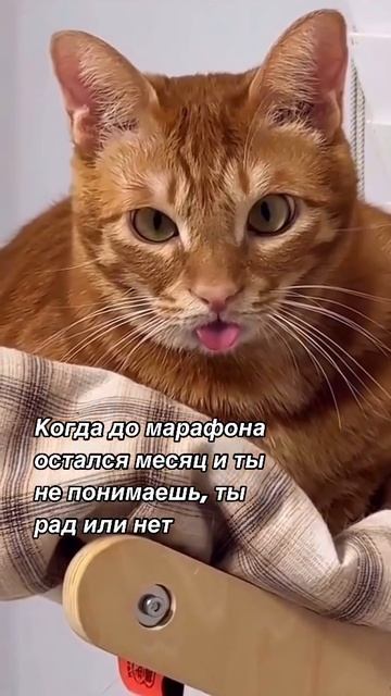 С юмором про бег