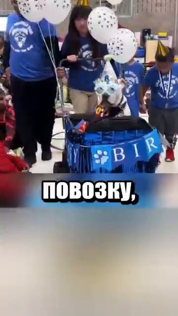 i11ushenka (218)