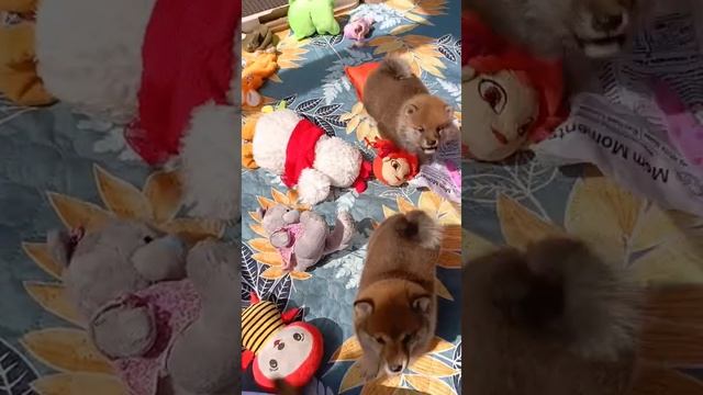 зажигаем
