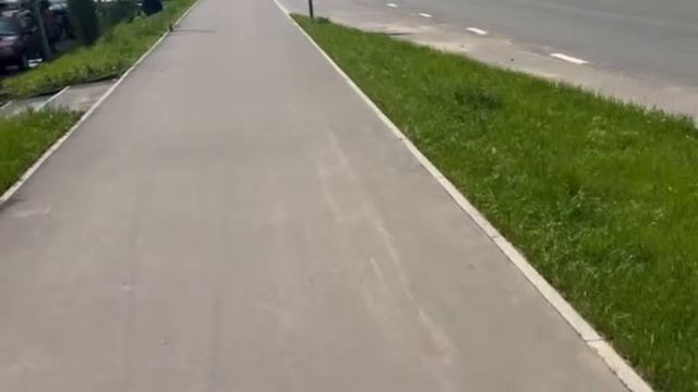 Мох и Молчание: Путь Без Людей