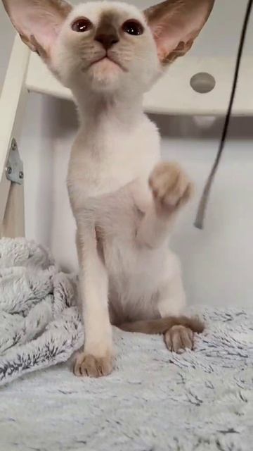 1000049213.mp4