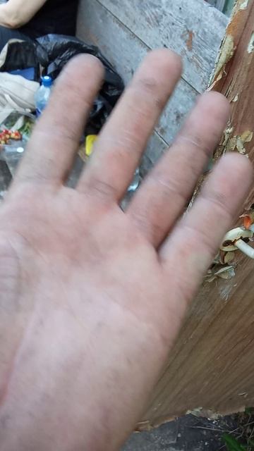 VID_20250608_174009