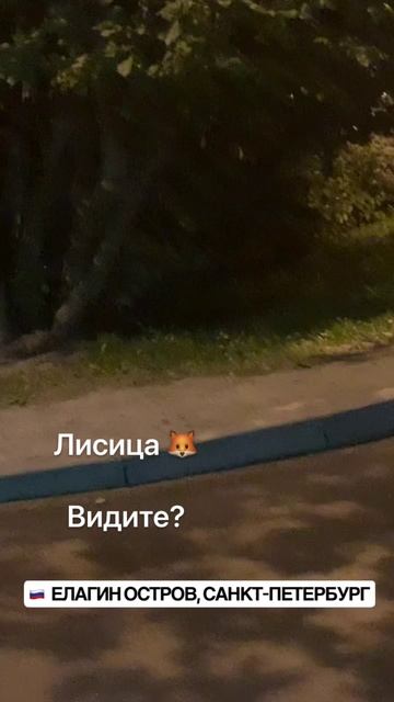 Чудеса природы