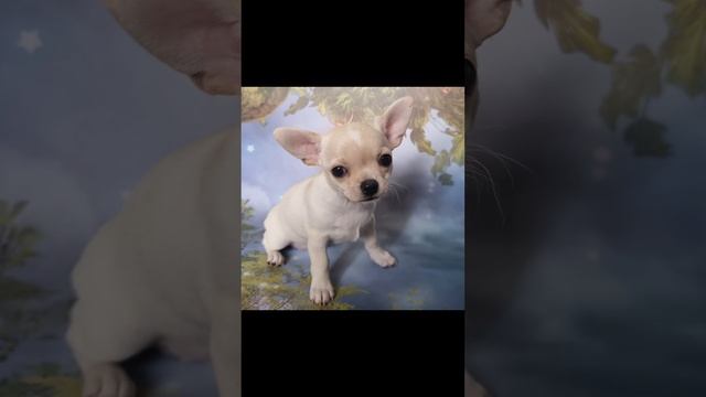 1000317069.mp4