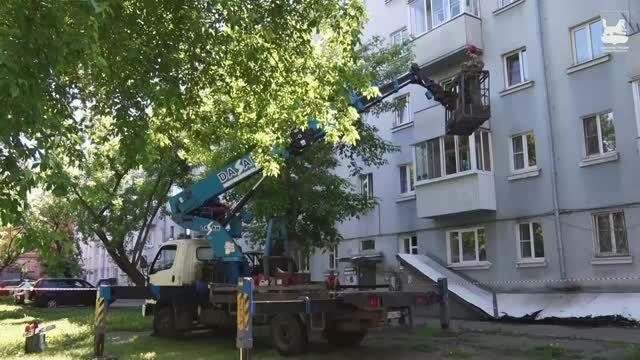 Обрезка и валка аварийных деревьев. Иркутск