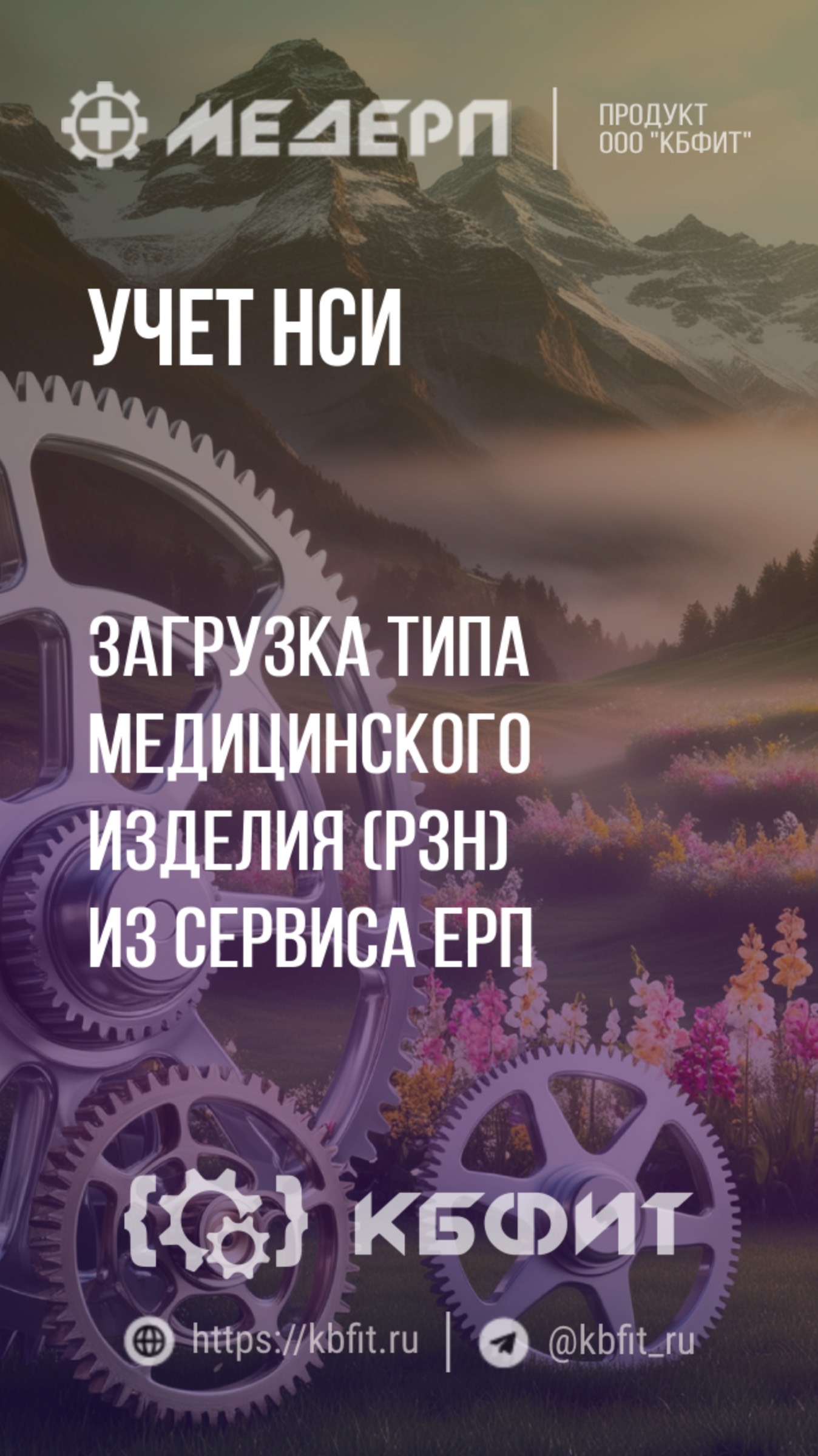 КБФИТ: МЕДЕРП. Учет НСИ: Загрузка типа медицинского изделия (РЗН) из сервиса ЕРП